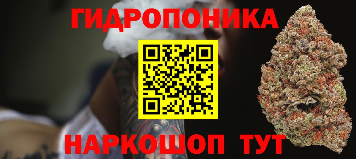 Каннабис планчик  Шишки марихуана OG Kush  Бошки марихуана семена  Камышлов  Вход с VPN 